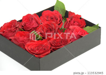 真っ赤なバラの入った黒い箱・白バック 真っ赤なバラの入った黒い箱・白バック 113532945