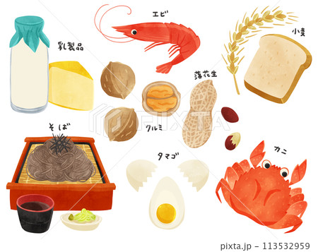特定原材料8品目　手描きイラスト 113532959