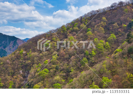 ダムのある風景 ダムのある風景 113533331