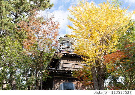 船橋大神宮の灯明台＜千葉県船橋市/11月＞ 113533527