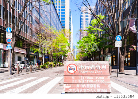 丸の内 仲通り アーバンテラス は 目抜き通り の 歩行者天国 【 東京都 の 風景 】 丸の内 仲通り アーバンテラス は 目抜き通り の 歩行者天国 【 東京都 の 風景 】 113533594