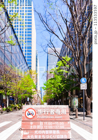 丸の内 仲通り アーバンテラス は 目抜き通り の 歩行者天国 【 東京都 の 風景 】 丸の内 仲通り アーバンテラス は 目抜き通り の 歩行者天国 【 東京都 の 風景 】 113533597