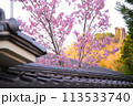 瓦屋根にかかる桜 113533740