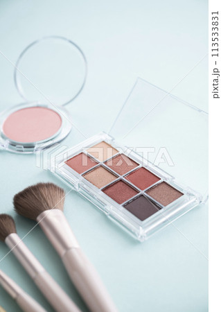 アイシャドウパレットとメイクブラシとチーク 113533831