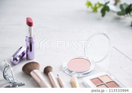 アイシャドウパレットとアイラッシュカーラーとメイクブラシとリップスティックとチーク 113533994