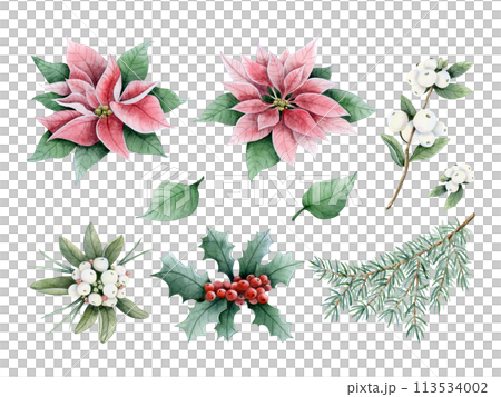 Christmas winter florals, plants, berries and fir branches watercolor illustration set of elements isolated on white. Hand drawn poinsettia, snowberry and holly for holiday season designs Christmas winter florals, plants, berries and fir branches watercolor illustration set of elements isolated on white. Hand drawn poinsettia, snowberry and holly for holiday season designs 113534002
