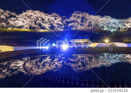 国営みちのく湖畔公園　夜桜のライトアップ「みちのく花明かり」　宮城県川崎町 113534120