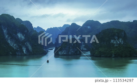 ベトナム　ティートップ島山頂から眺めるハロン湾の景観　/　Ha Long Bay, Vietnam 113534297