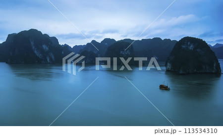 ベトナム　ティートップ島山頂から眺めるハロン湾の景観　/　Ha Long Bay, Vietnam 113534310