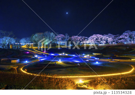 国営みちのく湖畔公園 夜桜のライトアップ「みちのく花明かり」 宮城県川崎町 国営みちのく湖畔公園 夜桜のライトアップ「みちのく花明かり」 宮城県川崎町 113534328