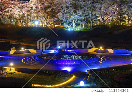 国営みちのく湖畔公園　夜桜のライトアップ「みちのく花明かり」　宮城県川崎町 113534361