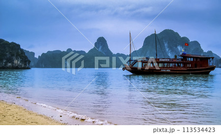 ベトナム　ティートップ島の海岸から眺めるハロン湾の山々　/　Ha Long Bay, Vietnam 113534423