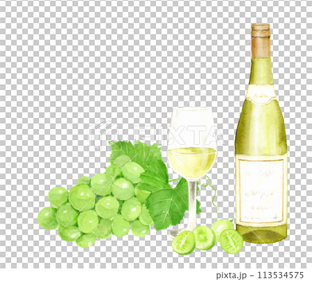 白葡萄酒和白葡萄的水彩插圖 113534575