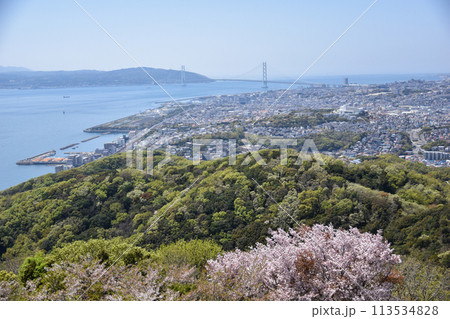 須磨浦山上遊園の桜 須磨浦山上遊園の桜 113534828