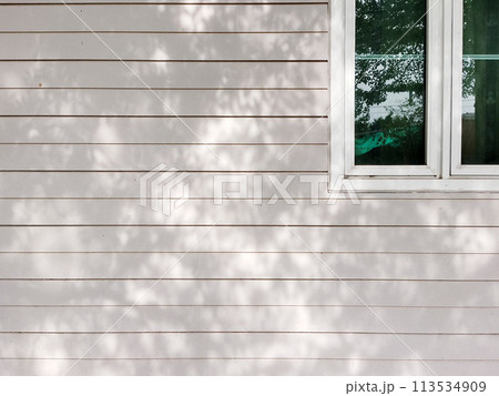 Shadows of leaves and branches on the wall of the house with glass window Shadows of leaves and branches on the wall of the house with glass window 113534909