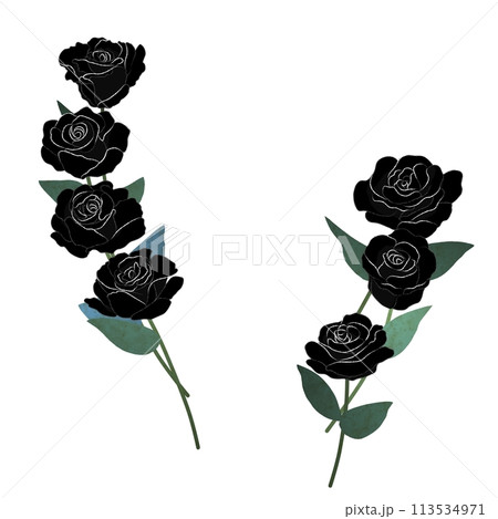 黒薔薇の装飾のイラスト素材 [113534971] - PIXTA