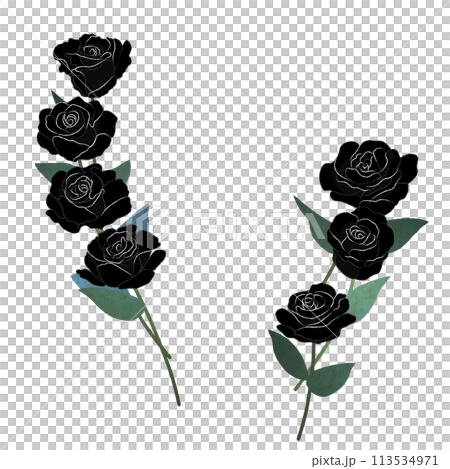 黒薔薇の装飾のイラスト素材 [113534971] - PIXTA