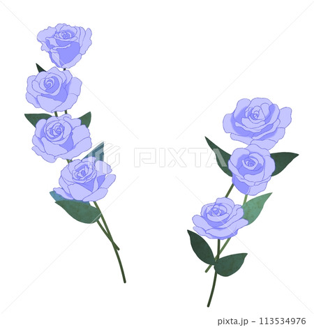 青薔薇の装飾 青薔薇の装飾 113534976