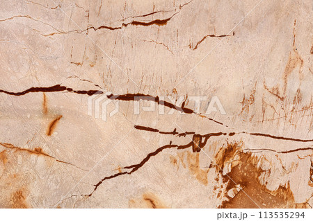 Roma Imperiale - natural calcite background in gentle light beige color, texture for your new attractive design look. Roma Imperiale - natural calcite background in gentle light beige color, texture for your new attractive design look. 113535294