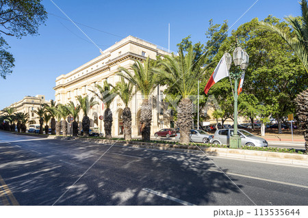 a palm tree-lined street in Valletta, Malta 113535644