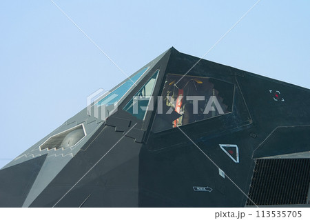 アメリカ空軍F-117ナイトホークのコクピット 113535705