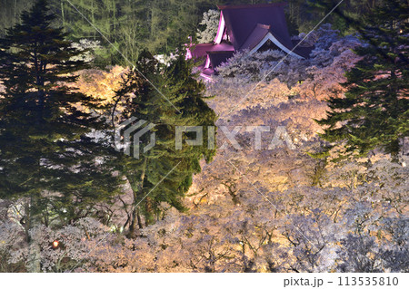 桜のある風景、天下第一桜 <高遠城址公園> 桜のある風景、天下第一桜 <高遠城址公園> 113535810