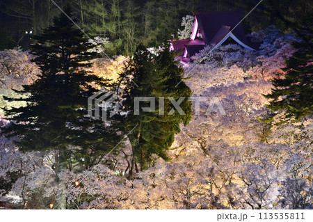 桜のある風景、天下第一桜　＜高遠城址公園＞ 113535811