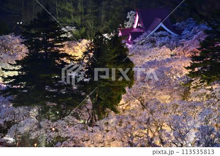 桜のある風景、天下第一桜　＜高遠城址公園＞ 113535813