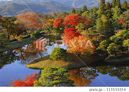 池に映る紅葉 池に映る紅葉 113535854