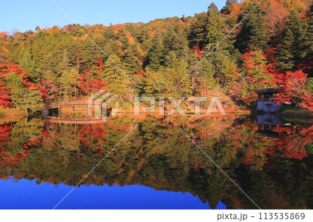 紅葉に染まる池 紅葉に染まる池 113535869