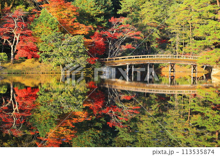 紅葉に彩られた池 113535874