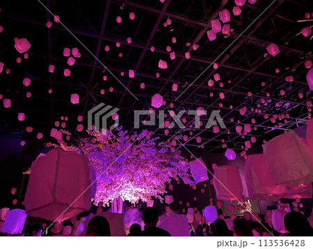 花見灯夜のランタン祭りin Aichi 花見灯夜のランタン祭りin Aichi 113536428