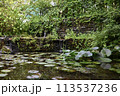 静かな流れ 113537236