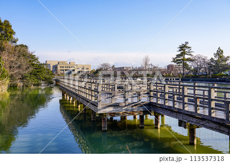 八条ヶ池 水上橋から早春の景色（京都府長岡京市） 113537318