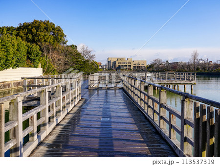 八条ヶ池 水上橋から早春の景色（京都府長岡京市） 113537319