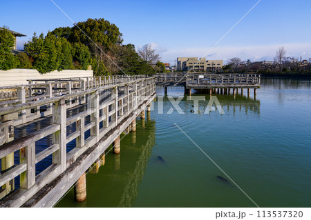 八条ヶ池 水上橋から早春の景色（京都府長岡京市） 113537320