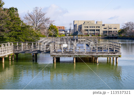 八条ヶ池 水上橋から早春の景色（京都府長岡京市） 113537321