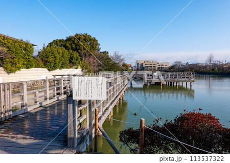 八条ヶ池 水上橋から早春の景色(京都府長岡京市) 八条ヶ池 水上橋から早春の景色(京都府長岡京市) 113537322