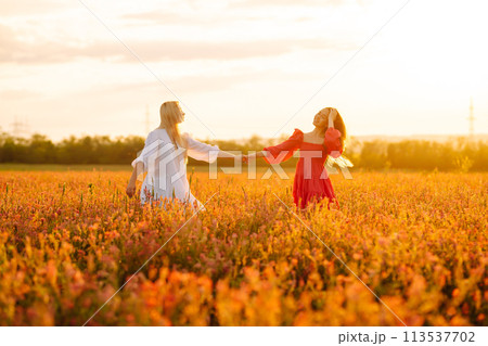 Two Beautiful woman in a field. Nature, fashion, vacation and lifestyle. Two Beautiful woman in a field. Nature, fashion, vacation and lifestyle. 113537702