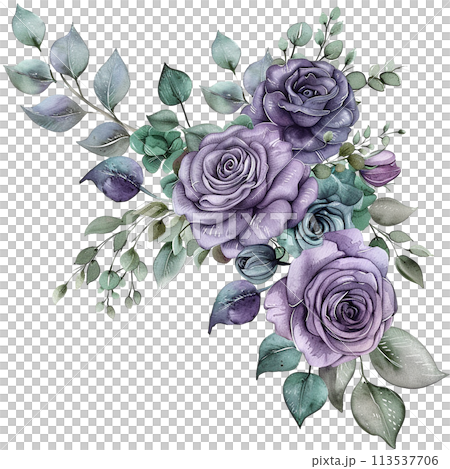 bouquet of blue purple roses. watercolor drawing, clipart with roses 113537706