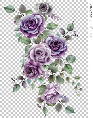 bouquet of blue purple roses. watercolor drawing, clipart with roses 113537707