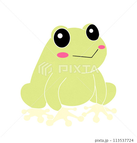 かわいいカエルのイラスト 113537724