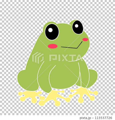 かわいいカエルのイラスト 113537726