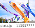 鯉のぼり・子供の日 113537777