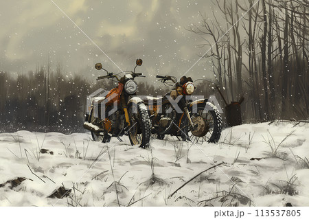 廃棄されたバイクのある冬の風景 113537805