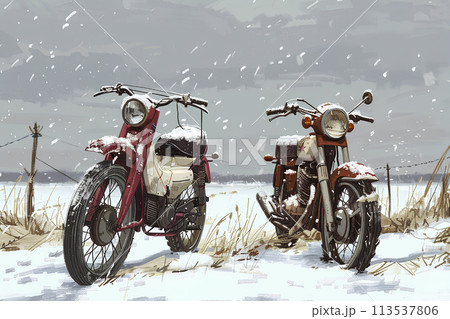 廃棄されたバイクのある冬の風景 113537806