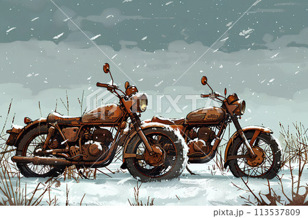 廃棄されたバイクのある冬の風景 113537809