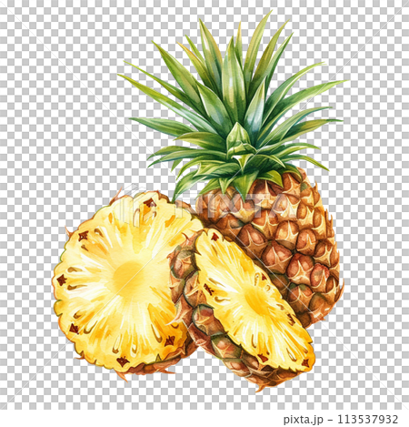 watercolor drawing, ripe pineapple, cut pineapple. realistic illustration, clipart 113537932
