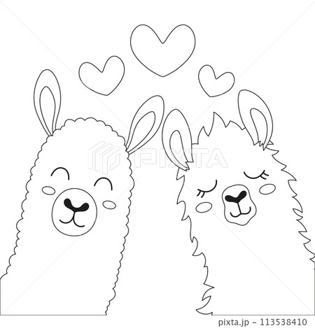 valentines day card with llamas 113538410