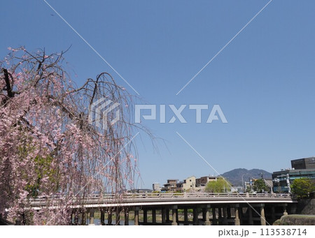 京都　三条大橋 113538714